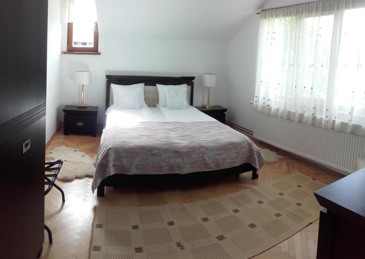 Casa Bota Hotel Viseu de Sus Luaran gambar