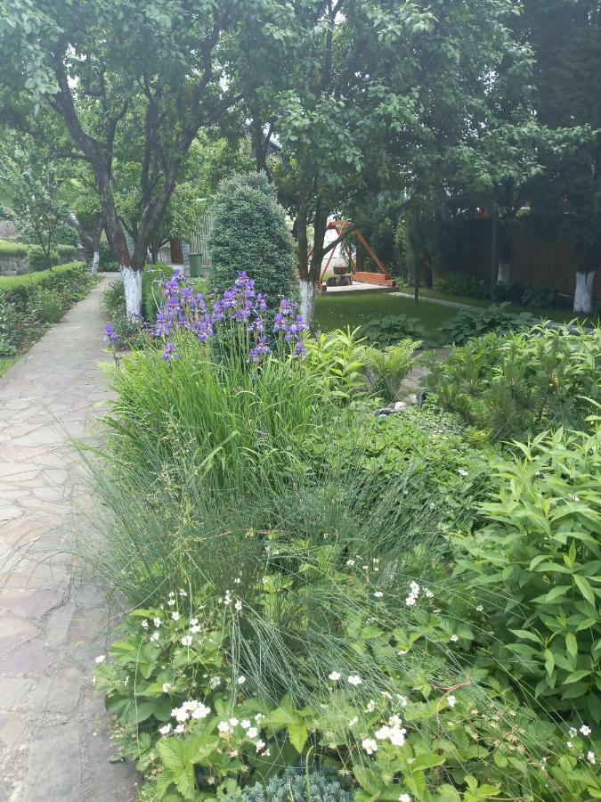 Casa Bota Hotel Viseu de Sus Luaran gambar